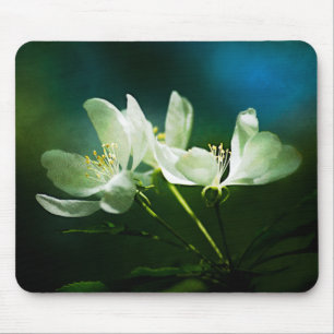 Apple Blossom - Two Flowers Mouse Pad