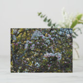 Apple Blossoms (Standing Front)