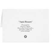 Apple Blossoms (Back Horizontal)