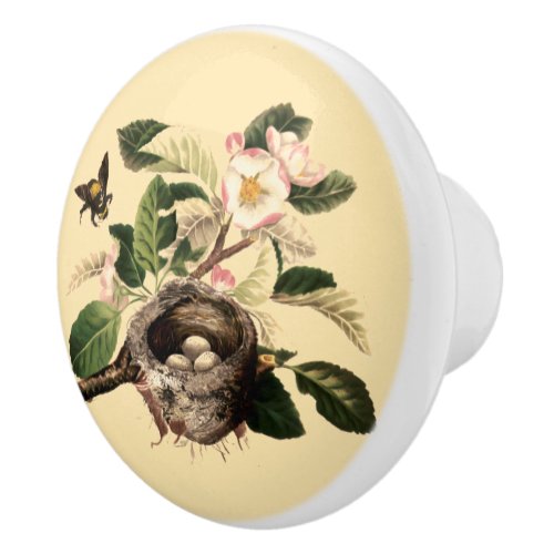 Apple Blossoms and Birds Nest Ceramic Knob