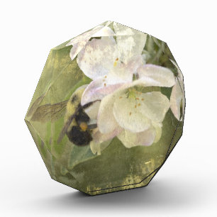 Apple Blossoms and Bumblebee Award