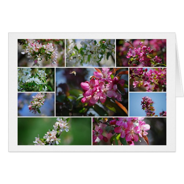 Apple Blossoms and Honey Bees Cards (Front Horizontal)
