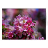 Apple Blossoms and Honeybee (Front Horizontal)