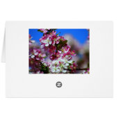 Apple Blossoms and Honeybee Cards (Back Horizontal)