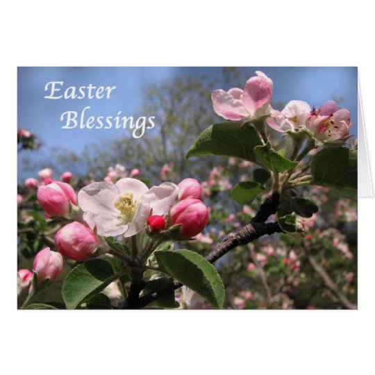 Apple Blossoms at Easter Card
