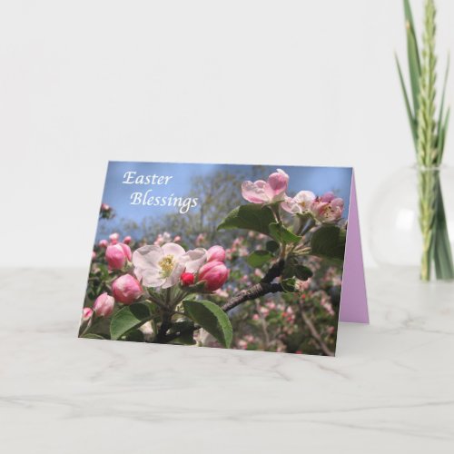 Apple Blossoms at Easter Holiday Card