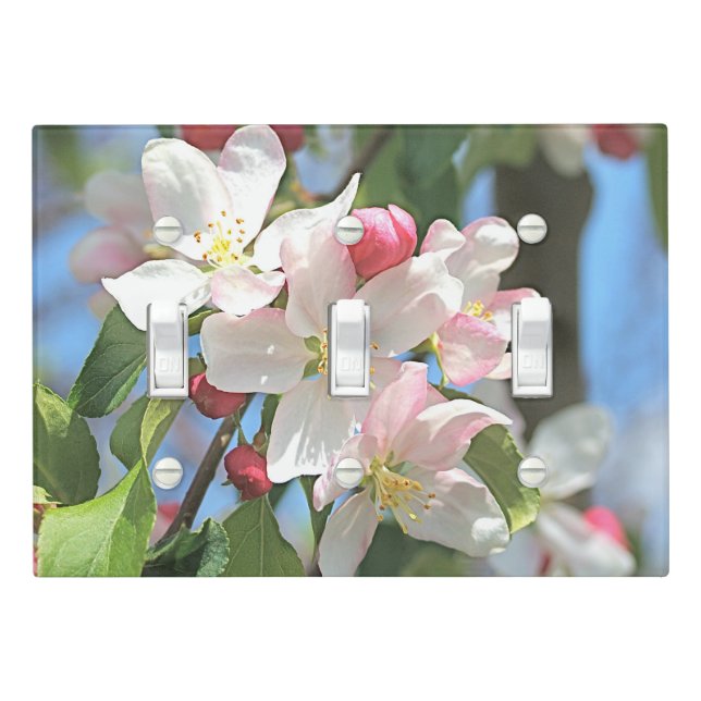 Apple Blossoms Flowers Light Switch Cover (In Situ)