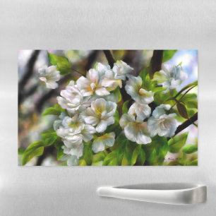 Apple Blossoms Magnetic Dry Erase Sheet