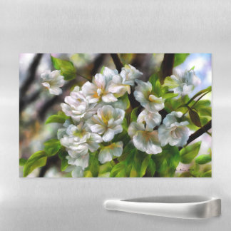 Apple Blossoms Magnetic Dry Erase Sheet