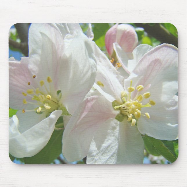Apple Blossoms mousepad quality Spring Flowers (Front)