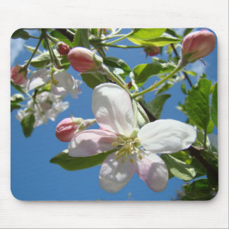 APPLE BLOSSOMS MOUSEPADS Tree Blossoms Mousepad