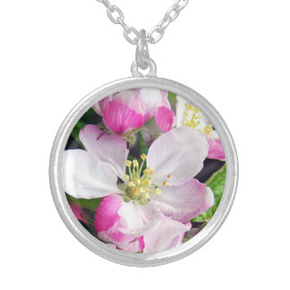 Apple blossoms, Pink Lady, Flowers, Original Art Silver Plated Necklace