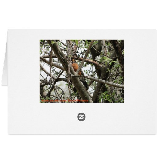 Apple Blossoms & Robin, Spring (Back Horizontal)