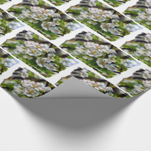 Apple Blossoms Wrapping Paper