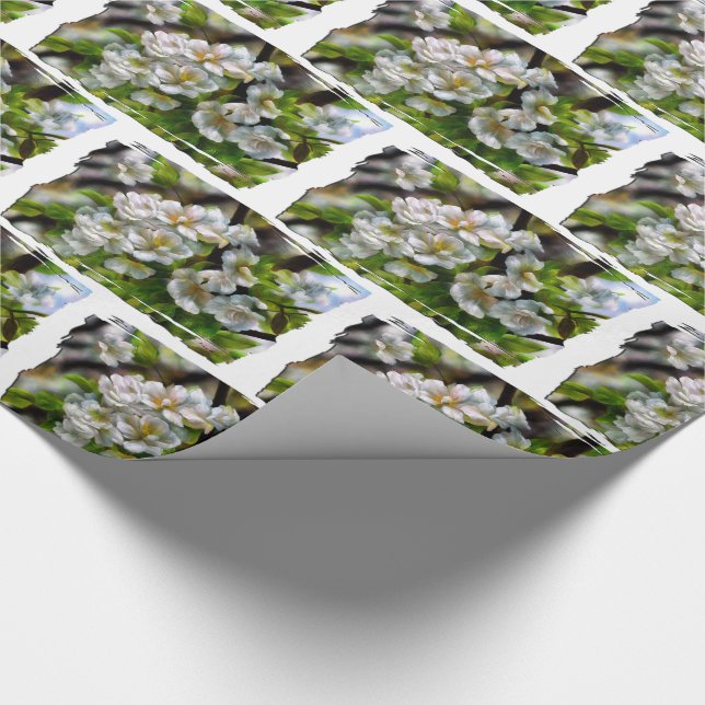 Apple Blossoms Wrapping Paper (Corner)