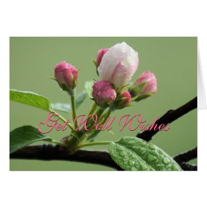 Apple Buds Card  customize any occasion