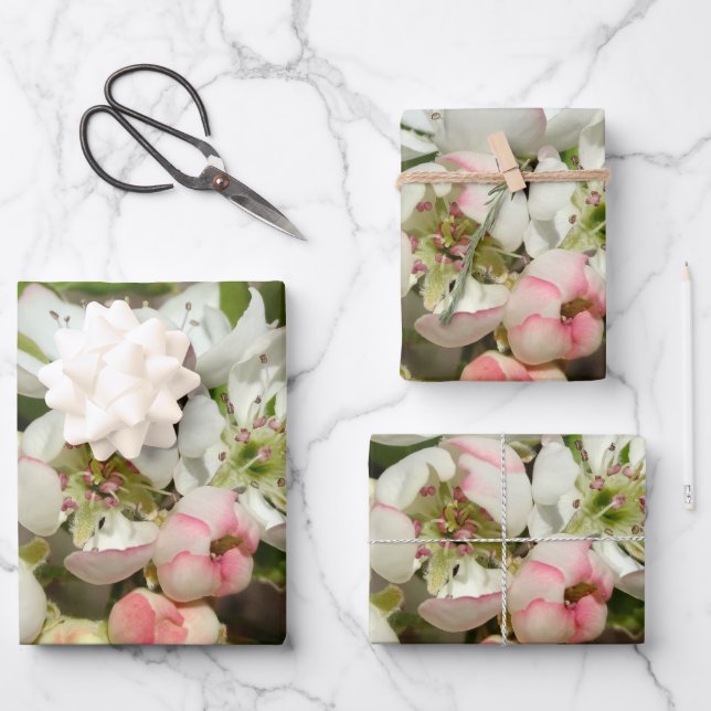 Apple buds flower wrapping paper sheets (Front)