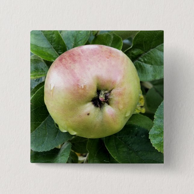 APPLE BUTTON (Front)