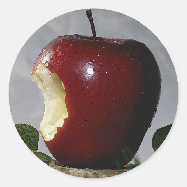 Apple Classic Round Sticker (Front)