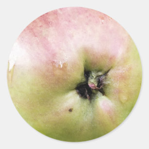 APPLE CLASSIC ROUND STICKER
