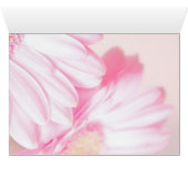 Apple & Floral (Inside Horizontal (Bottom))