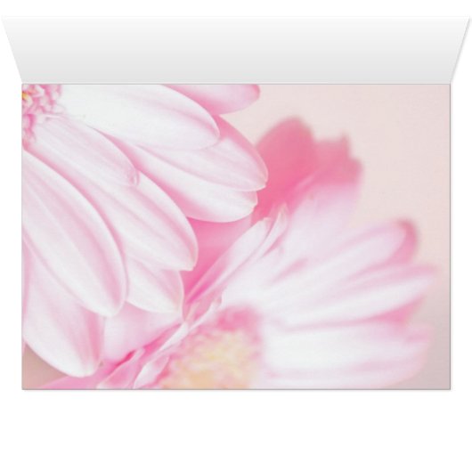 Apple & Floral (Inside Horizontal (Bottom))