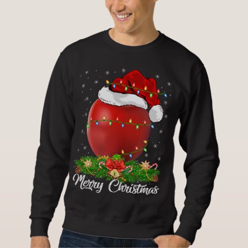 Apple Fruit Lover Matching Santa Hat Apple Christm Sweatshirt
