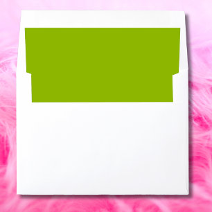 Apple Green bold fresh trendy Envelope Liner