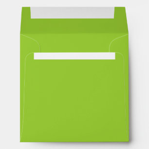 Apple Green Envelope