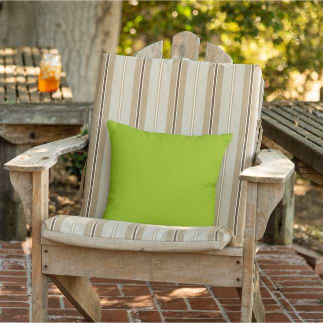 Apple Green Outdoor Throw Pillow (Chair)