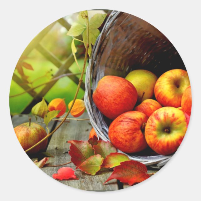 Apple Harvest Classic Round Sticker (Front)
