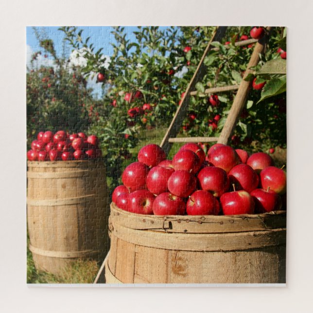 Apple Harvest Jigsaw Puzzle (Vertical)