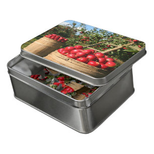 Apple Harvest Jigsaw Puzzle