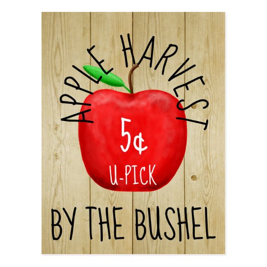 Apple Harvest Vintage Sign Postcard