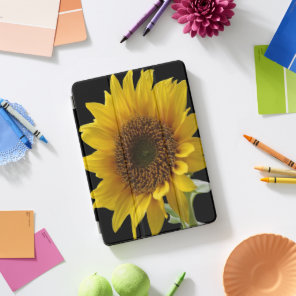 Apple Ipad Pro Case