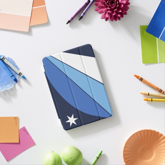 Apple iPad Pro Case with flag of Columbia, SC (In Situ)