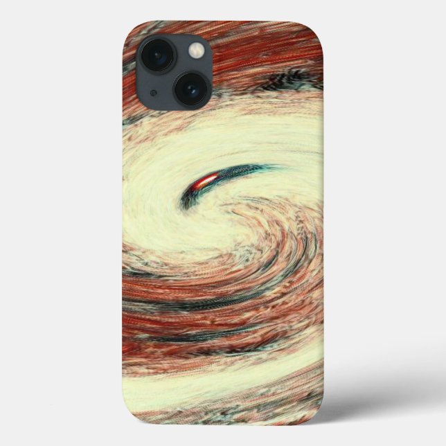 apple iphone 13 case  (Back)