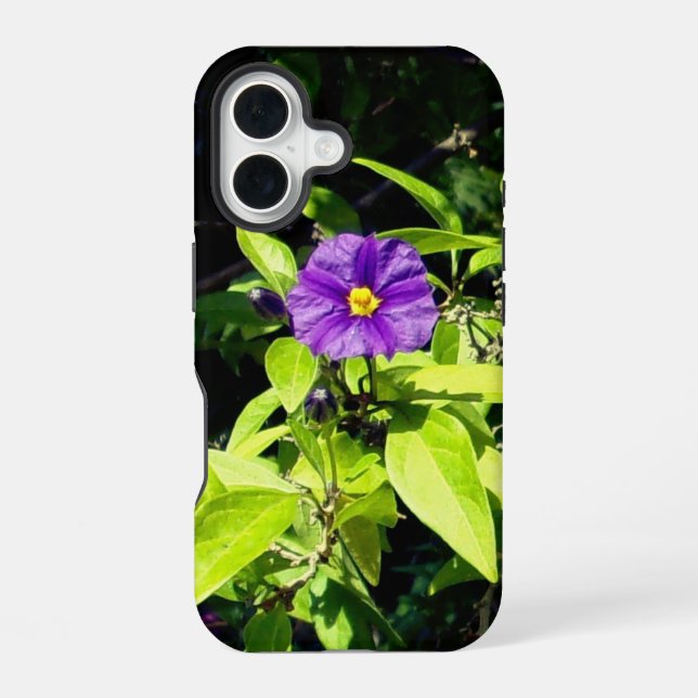 apple iphone 16 case style and design (Back)