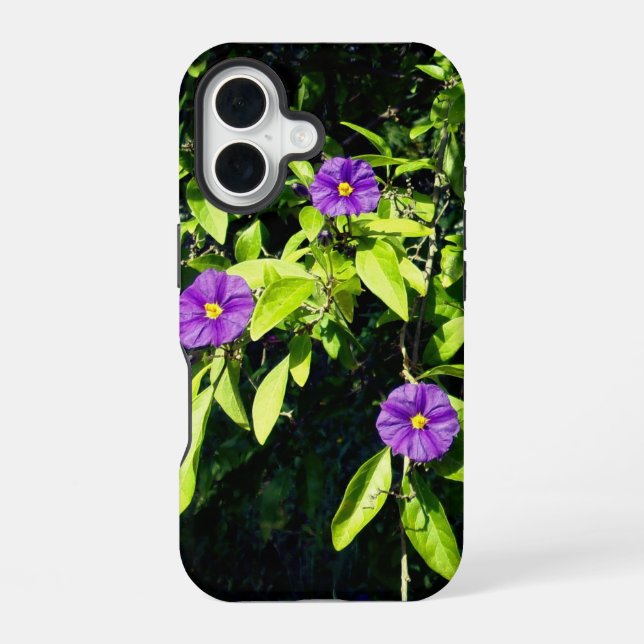 apple iphone 16 case style and design (Back)
