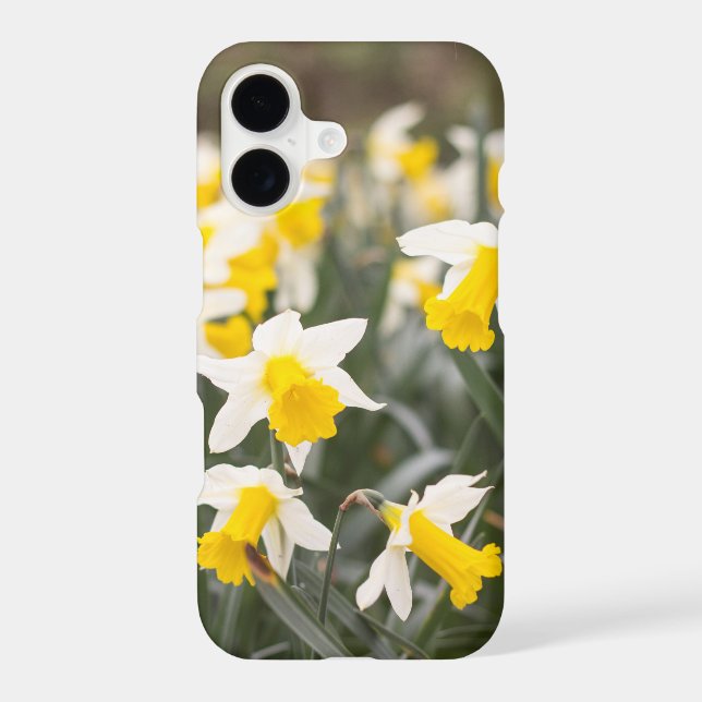 Apple iPhone 7 Daffodil Phone Case (Back)