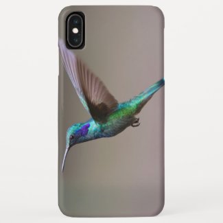 Apple iphone case amazing Bird