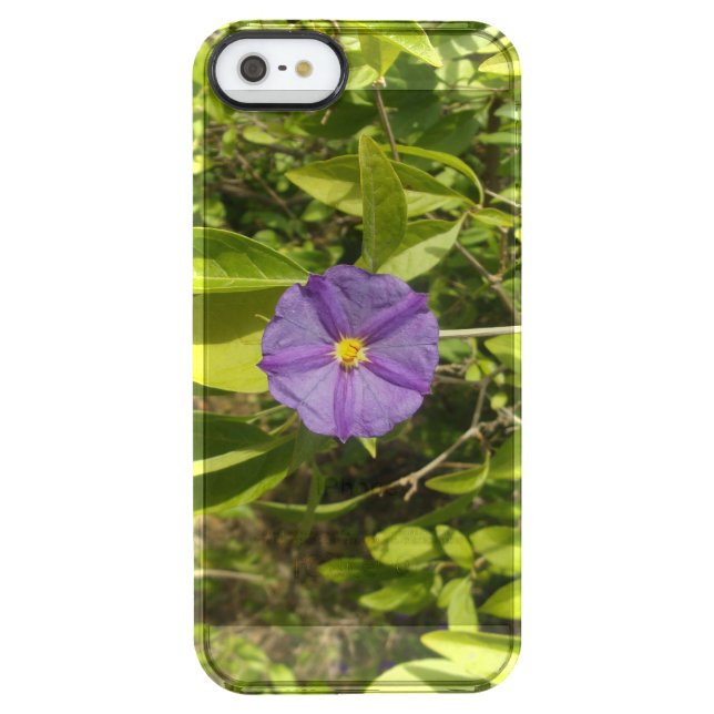 Apple iPhone SE(1ST GEN) CASE (Back)