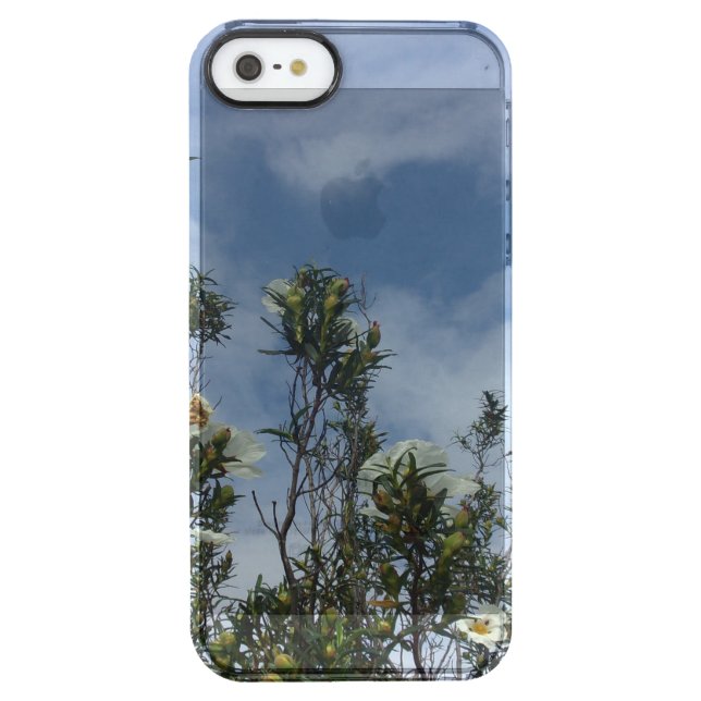 APPLE iPhone SE(1ST GEN) Case ART STYLE  (Back)
