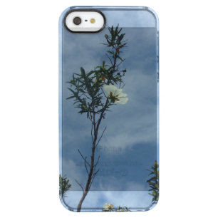 APPLE iPhone SE(1ST GEN) Case ART STYLE 