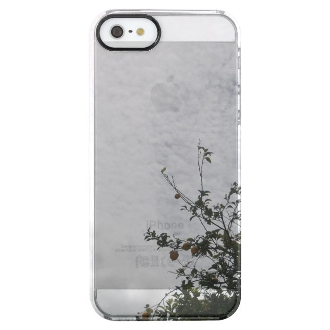 Apple iPhone SE(1ST GEN) CASE style design (Back)