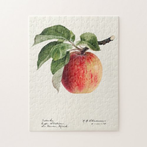 Apple Malus Domestica Fruit Watercolor Painting Jigsaw Puzzle