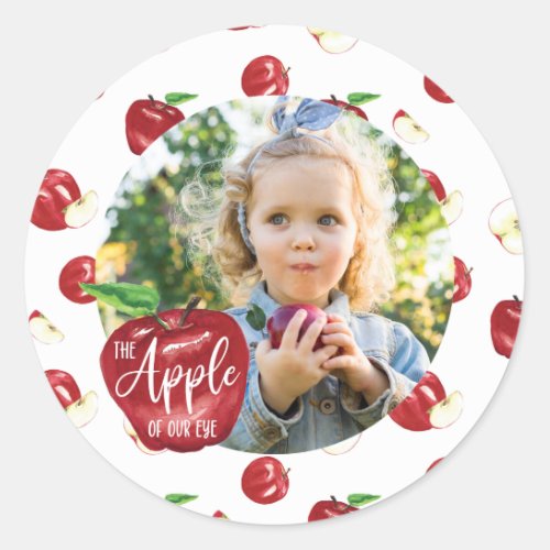 Apple of Our Eye Birthday Party Girl Boy Classic Round Sticker