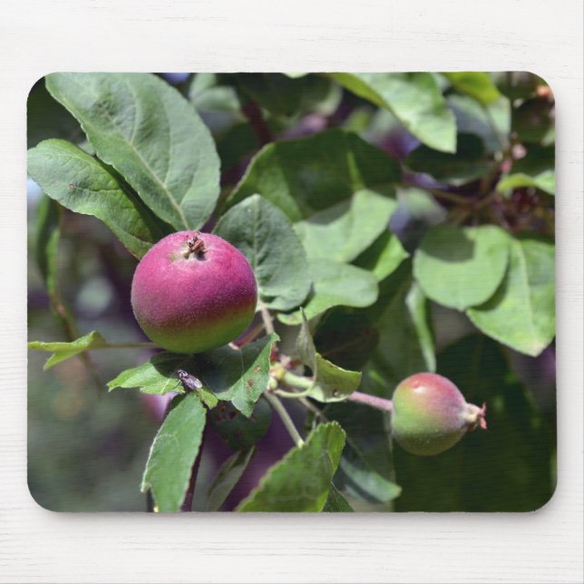 Apple on  mouse pad (Front)