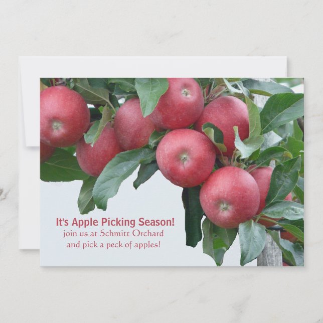 Apple Orchard Invitation (Front)