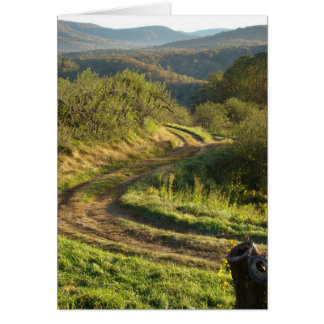 Apple Orchard, North Carolina Cards